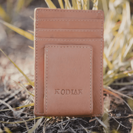 moneyclip.1